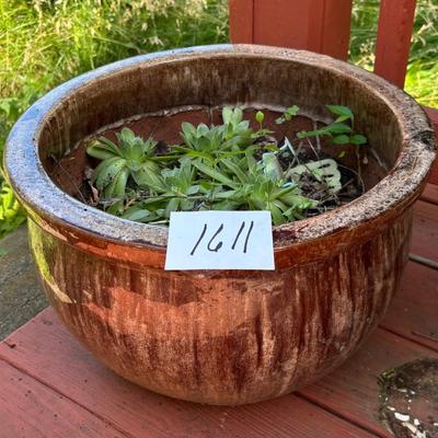 Large Planter with Plant