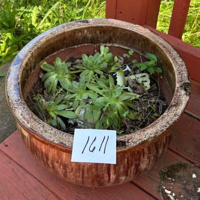 Large Planter with Plant