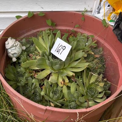 Plant Lot