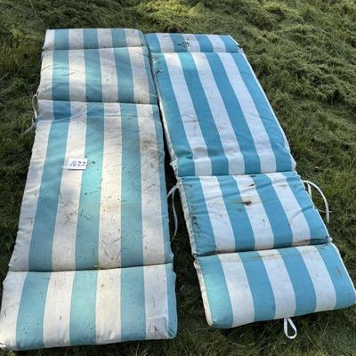 Cushion Lot