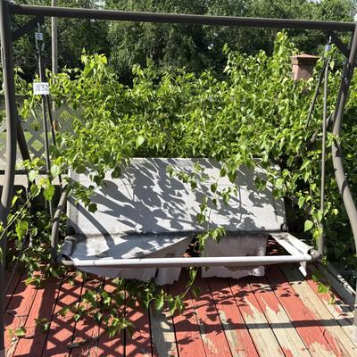 Swing Frame