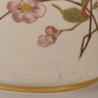 Royal Worcester England Tea/Coffee Pot