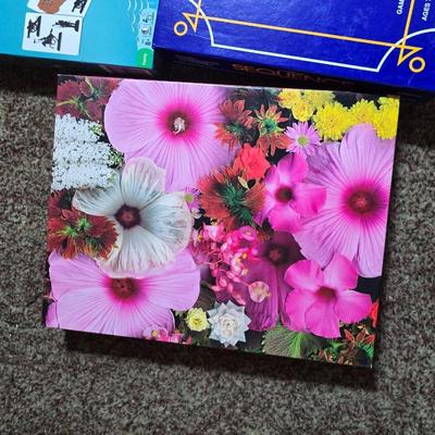 Assorted Game & Puzzle Lot – Risk, Sequence, Jigsaw, More