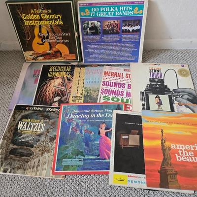 Eclectic Vintage Vinyl Record Lot – Country, Polka, Waltz, Patriotic & More Albums LP Records