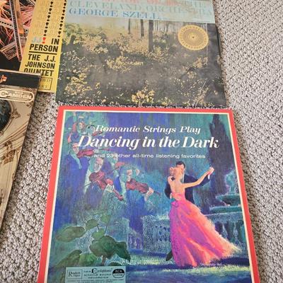 Eclectic Vintage Vinyl Record Lot – Country, Polka, Waltz, Patriotic & More Albums LP Records