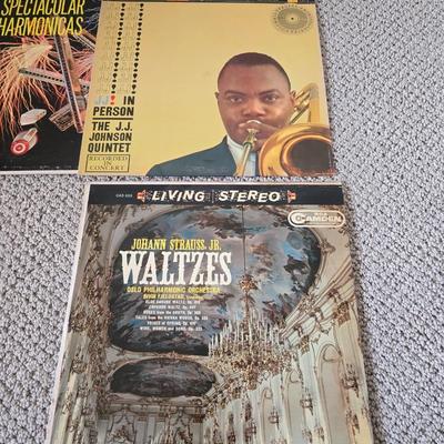 Eclectic Vintage Vinyl Record Lot – Country, Polka, Waltz, Patriotic & More Albums LP Records
