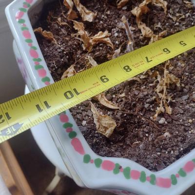 Ceramic Hexagonal Planter Pot