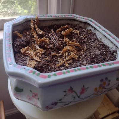 Ceramic Hexagonal Planter Pot