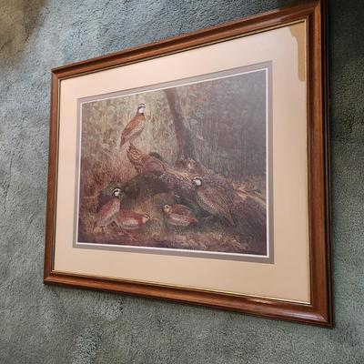 Framed Quail Bird Print