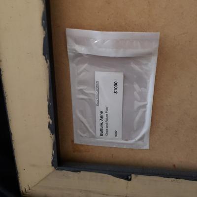 "Once and Future Pixie" by Anne Buffum (BR3-KD)