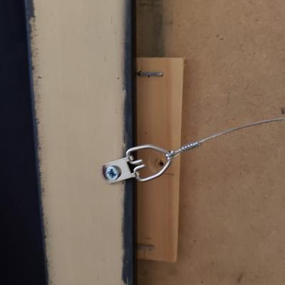 "Once and Future Pixie" by Anne Buffum (BR3-KD)