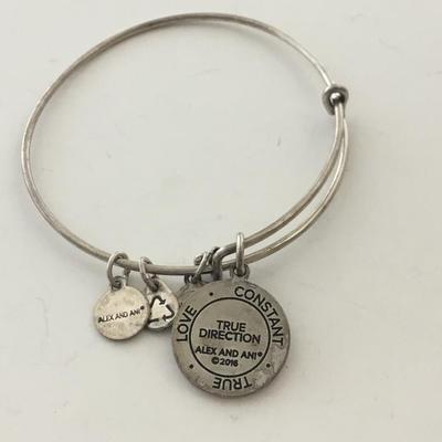 Alex and ani charm bracelet
