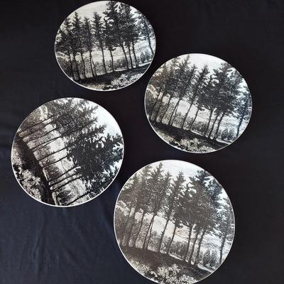 West Elm Plates & Cordon Bleu Pitchers (FP-BBL)