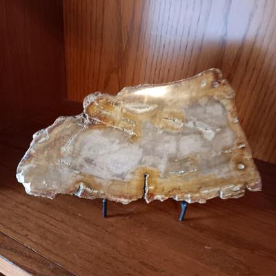 PETRIFIED WOOD POLISHED SLAB