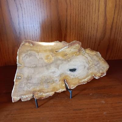 PETRIFIED WOOD POLISHED SLAB