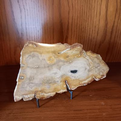 PETRIFIED WOOD POLISHED SLAB