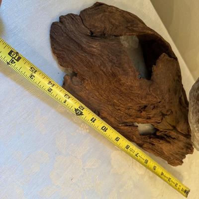 Wood Duck Mount (see description)