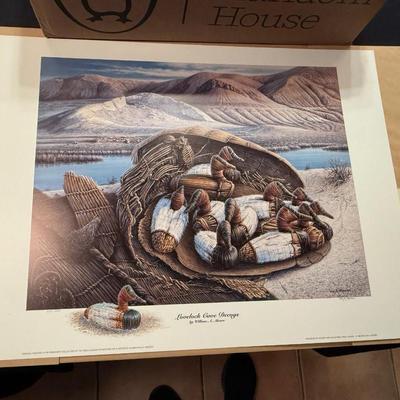 Sale Photo Thumbnail #297: Unframed Duck themed print by William A Moore