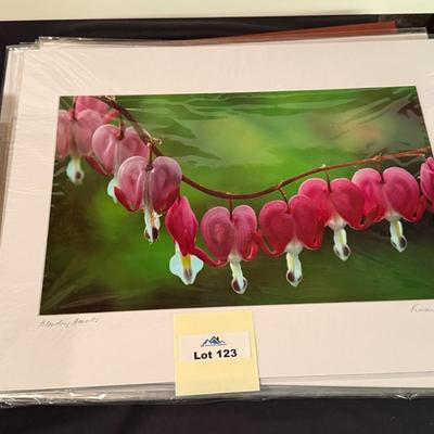Sale Photo Thumbnail #364: Photos & Lots of Loose Mats as shown