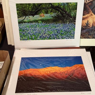 Sale Photo Thumbnail #365: Photos & Lots of Loose Mats as shown