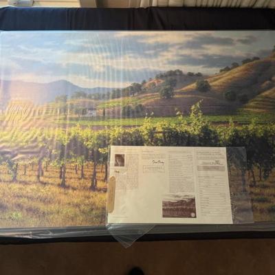 Sale Photo Thumbnail #904: signed & number 80 of 100 June Carey 36” x 24” art