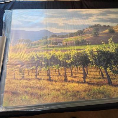 Sale Photo Thumbnail #906: signed & number 80 of 100 June Carey 36” x 24” art