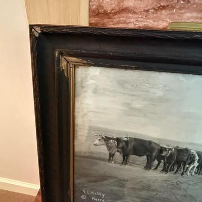 Sale Photo Thumbnail #969: 6' l x 27”t Original Cattle Drive Photo by R.L. Kelly