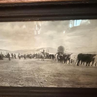 Sale Photo Thumbnail #971: 6' l x 27”t Original Cattle Drive Photo by R.L. Kelly