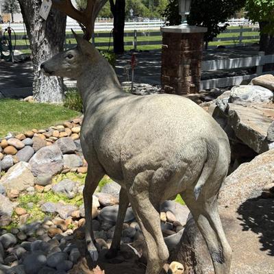 Sale Photo Thumbnail #1401: Tall standing Metal Buck Deer Yard Decoration.
This item will require special logistics to remove it from the yard. We are not loading or transporting these large items. They must be removed carefully not to disturb the surroundings.
