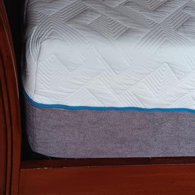 CLEAN BEAUTYREST SOUTH BAY INT. DUAL ELECTRIC ADJUSTABLE FOAM MATTRESSES W/A WOOD AND LEATHER SLEIGH BED FRAME