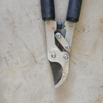 Yard & Garden Tool Lot – Pump Sprayer, Loppers, Ortho GroundClear Weed Killer