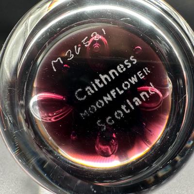 Vintage Caithness Paperweight Moonflower