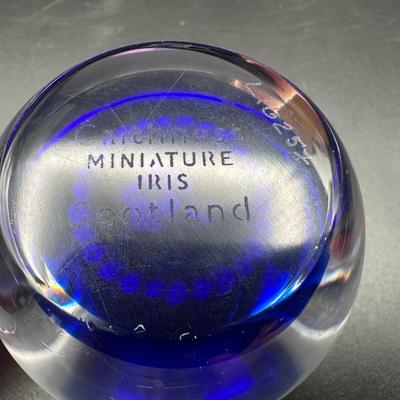 Vintage Caithness Paperweights Iris / Cornflower
