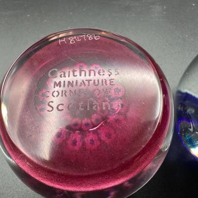 Vintage Caithness Paperweights Iris / Cornflower