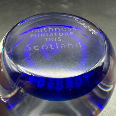 Vintage Caithness Paperweights Iris / Cornflower