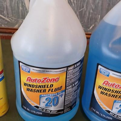 Cold Weather Auto Lot – Washer Fluid, De-Icer, Starting Fluid & Safety Light with an am/fm radio