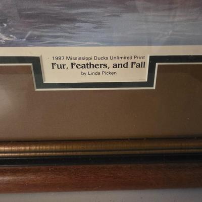 Ducks Unlimited