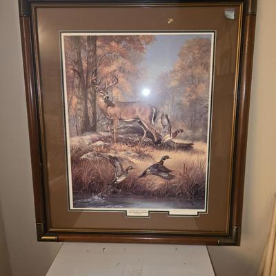 Ducks Unlimited