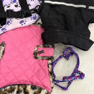 Small pet clothes plus collar and halter