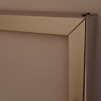 Amelia Earhart Postage Print (BR3-KD)