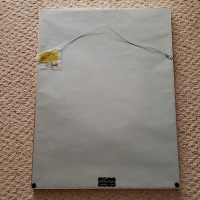 Amelia Earhart Postage Print (BR3-KD)