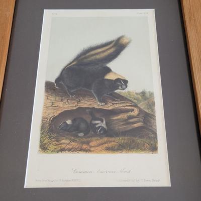Audubon Original Royal Octavo Print Wall Art (BR2-EL)