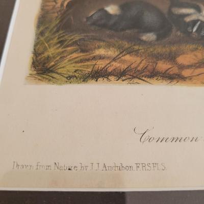 Audubon Original Royal Octavo Print Wall Art (BR2-EL)