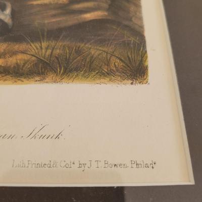 Audubon Original Royal Octavo Print Wall Art (BR2-EL)