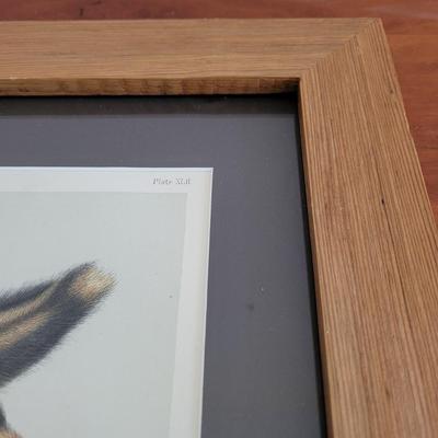 Audubon Original Royal Octavo Print Wall Art (BR2-EL)