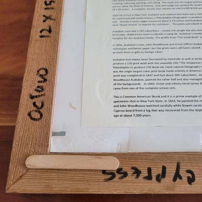 Audubon Original Royal Octavo Print Wall Art (BR2-EL)