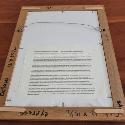 Audubon Original Royal Octavo Print Wall Art (BR2-EL)