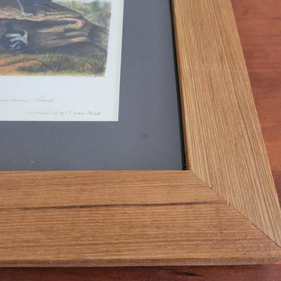 Audubon Original Royal Octavo Print Wall Art (BR2-EL)