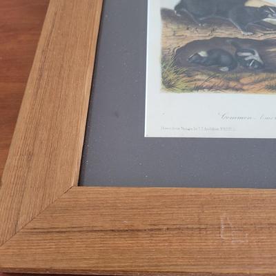 Audubon Original Royal Octavo Print Wall Art (BR2-EL)