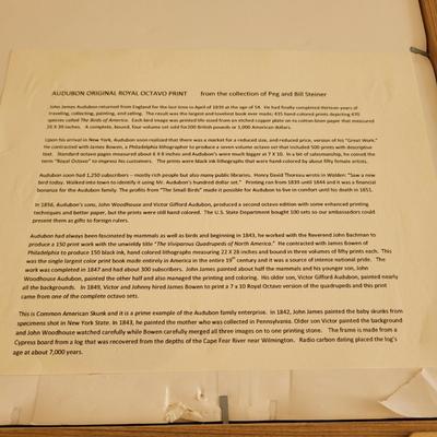 Audubon Original Royal Octavo Print Wall Art (BR2-EL)